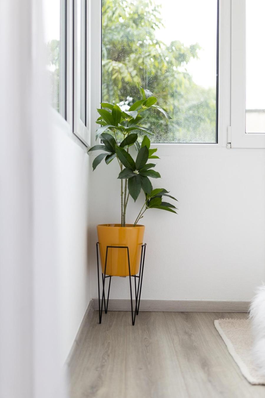 Lola'S Studio Braşov Eksteriør billede